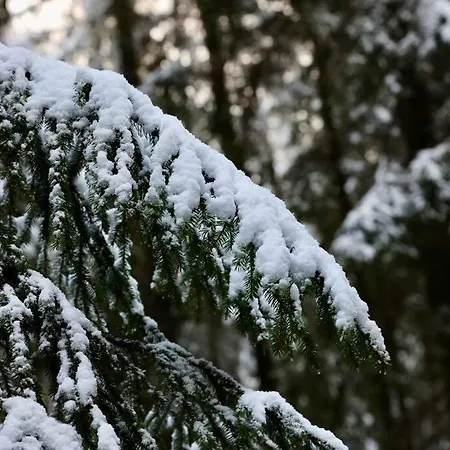 Altes Zollhaus 아파트