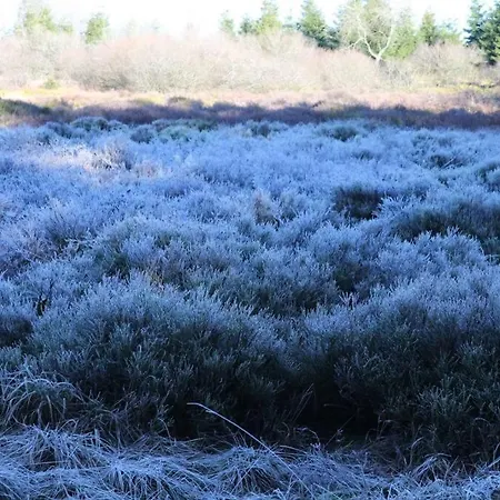 Altes Zollhaus Hallschlag