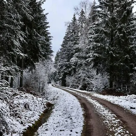 Altes Zollhaus アパート