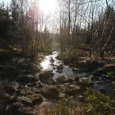 Altes Zollhaus アパート *