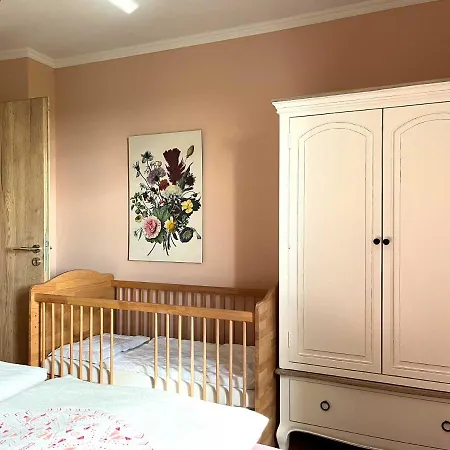 Altes Zollhaus アパート Hallschlag