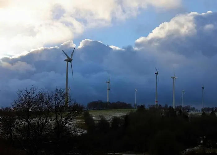 Altes Zollhaus Daire