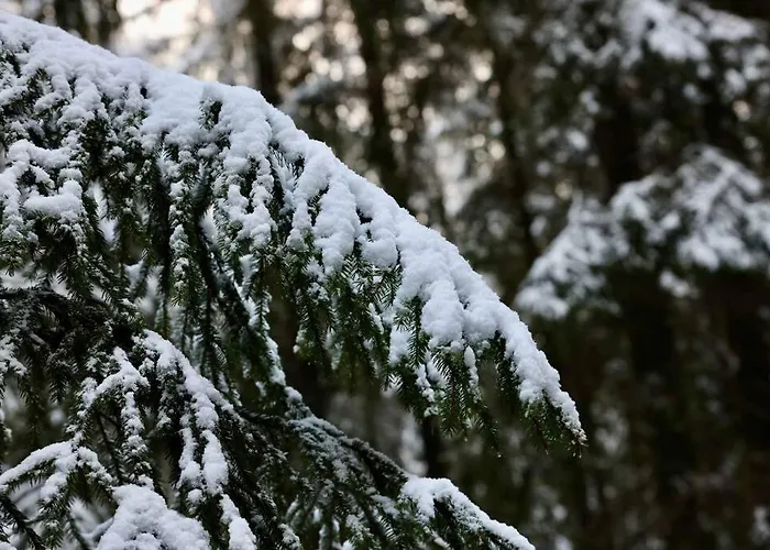 Altes Zollhaus דירה