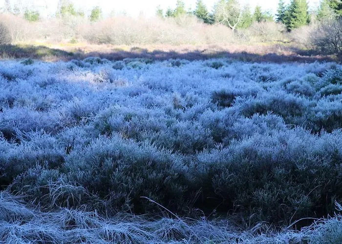 Altes Zollhaus Hallschlag