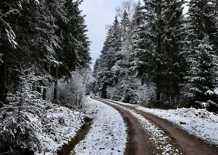 Altes Zollhaus Daire