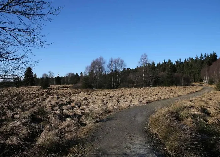 דירה Altes Zollhaus *